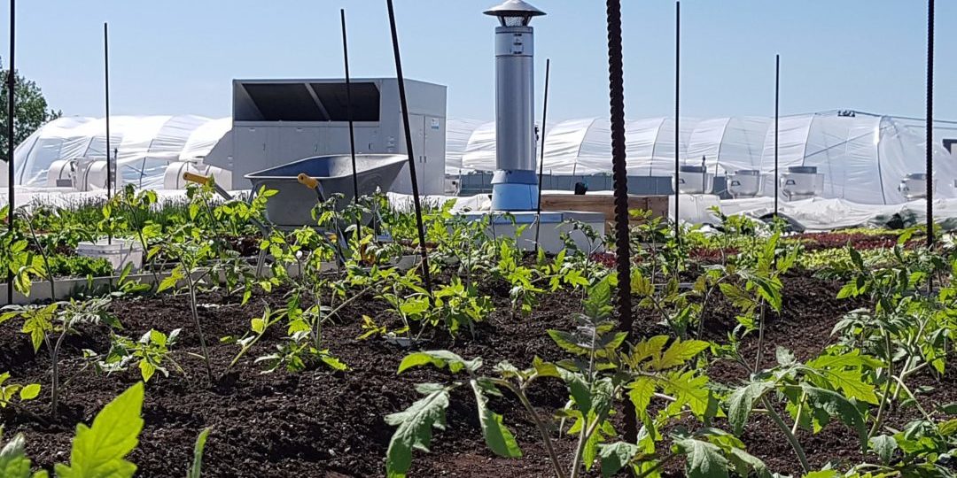 Offre D Emploi En Agriculture Urbaine La Ligne Verte